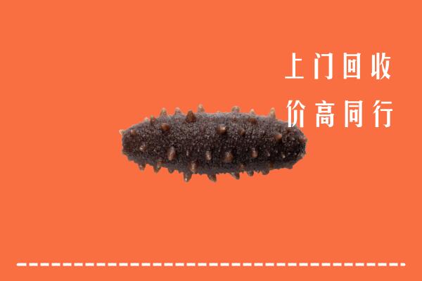 高价求购：敖汉旗回收海参