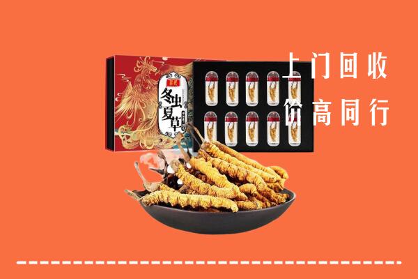 收购行情：敖汉旗回收虫草